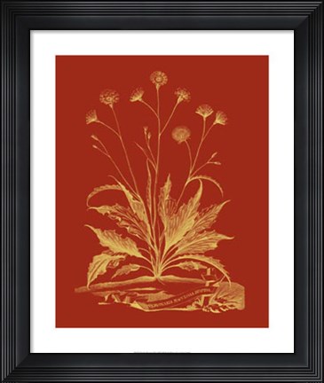 Framed Paprika Bouquet III Print