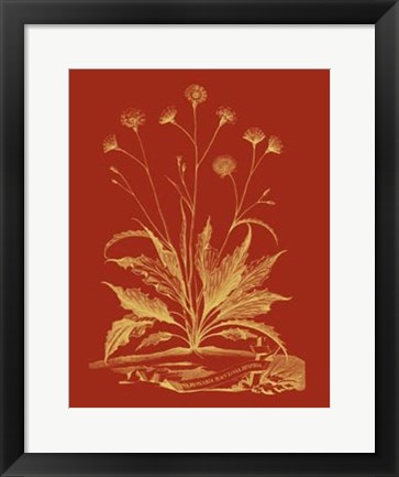 Framed Paprika Bouquet III Print