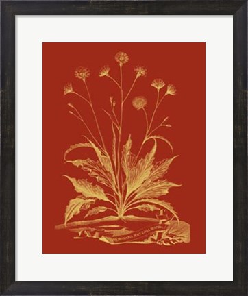 Framed Paprika Bouquet III Print