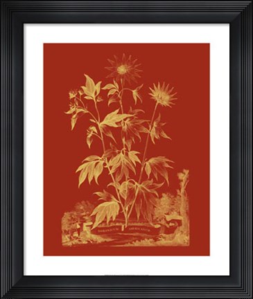 Framed Paprika Bouquet IV Print