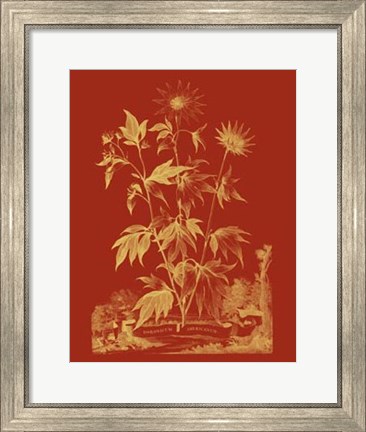 Framed Paprika Bouquet IV Print