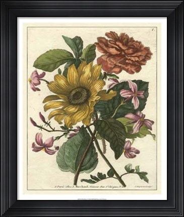 Framed Floral Posy I Print