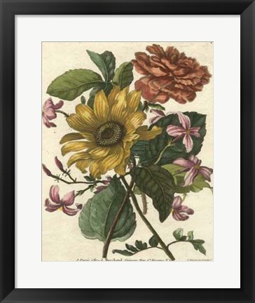 Framed Floral Posy I Print