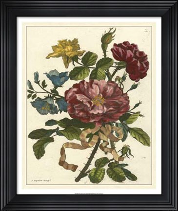 Framed Floral Posy II Print