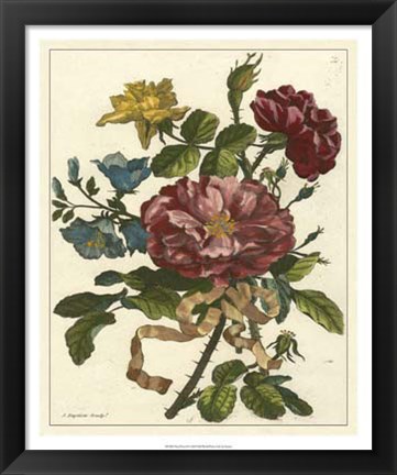 Framed Floral Posy II Print