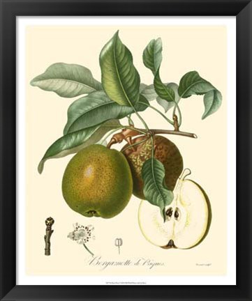 Framed Pears Print