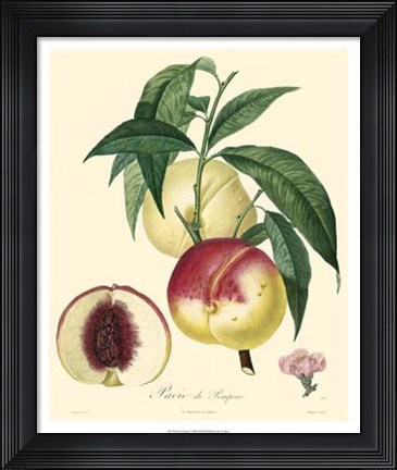 Framed Peaches Print
