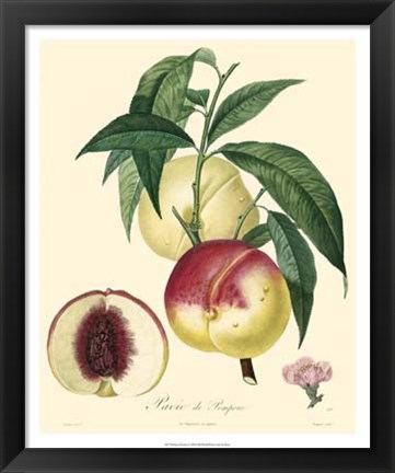 Framed Peaches Print