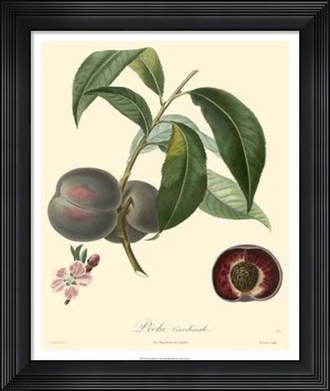 Framed Plums Print