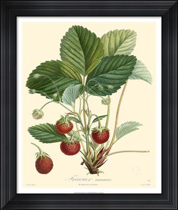 Framed Strawberries Print