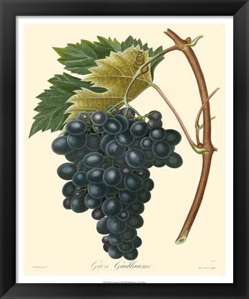 Framed Grapes II Print