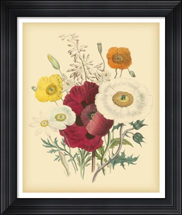 Framed Garden Bouquet II Print