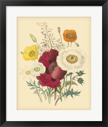 Framed Garden Bouquet II Print