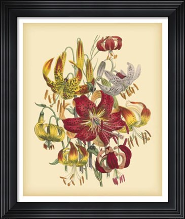 Framed Garden Bouquet III Print