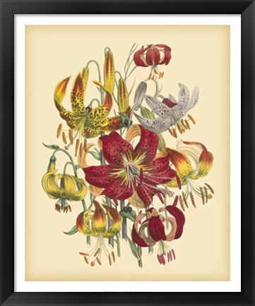 Framed Garden Bouquet III Print