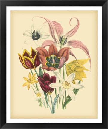 Framed Garden Bouquet IV Print