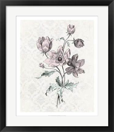 Framed Victorian Blooms II Print