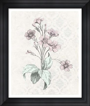 Framed Victorian Blooms IV Print