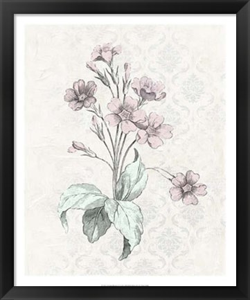 Framed Victorian Blooms IV Print