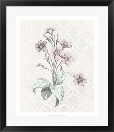 Framed Victorian Blooms IV Print