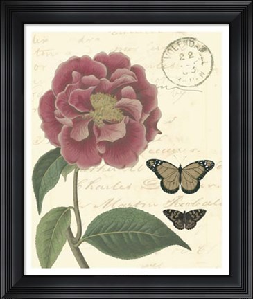 Framed Vintage Floral III Print