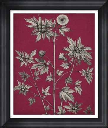 Framed Vivid Chintz II Print