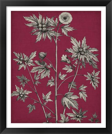 Framed Vivid Chintz II Print