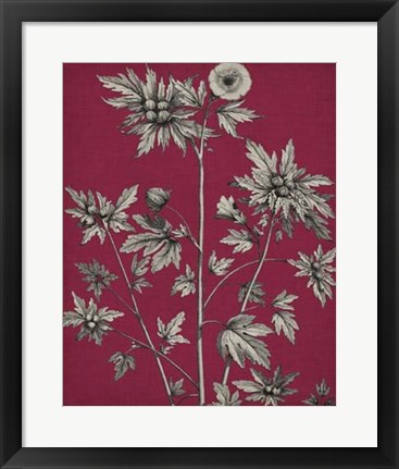 Framed Vivid Chintz II Print