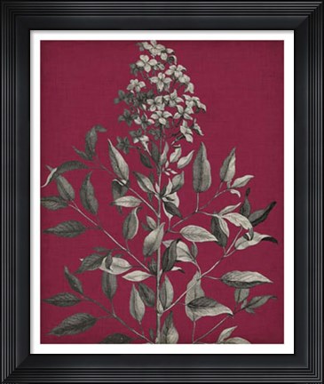 Framed Vivid Chintz IV Print