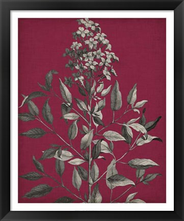 Framed Vivid Chintz IV Print