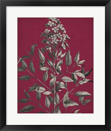 Framed Vivid Chintz IV Print