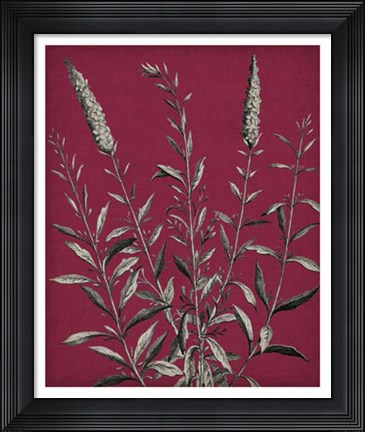 Framed Vivid Chintz V Print