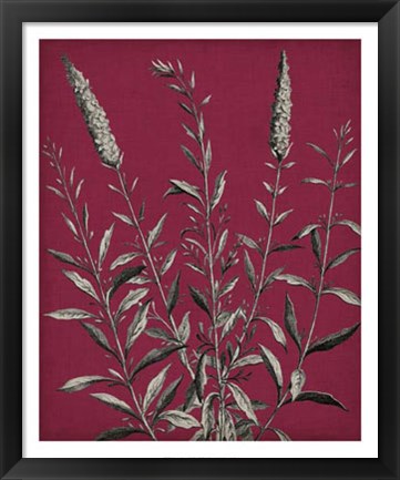 Framed Vivid Chintz V Print