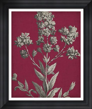 Framed Vivid Chintz VI Print