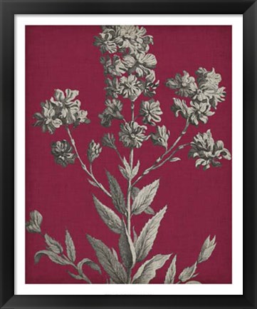 Framed Vivid Chintz VI Print