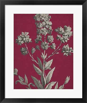 Framed Vivid Chintz VI Print