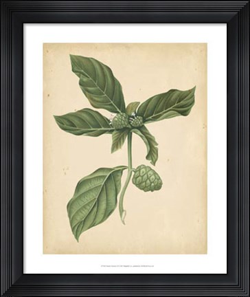 Framed Nature's Greenery III Print