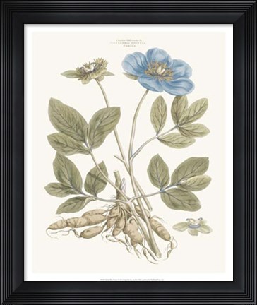Framed Bashful Blue Florals I Print
