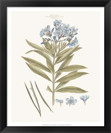 Framed Bashful Blue Florals III Print