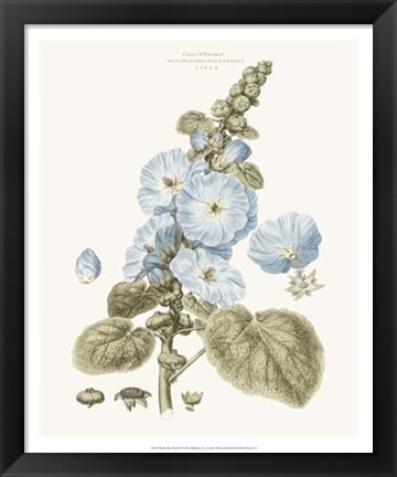 Framed Bashful Blue Florals IV Print