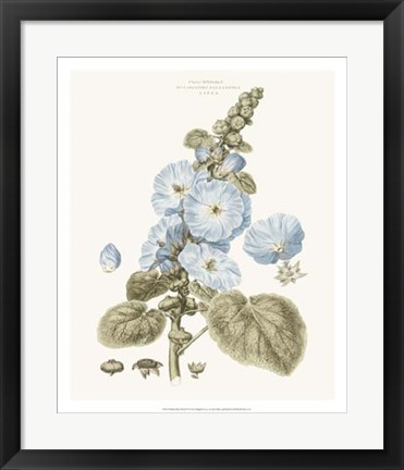 Framed Bashful Blue Florals IV Print