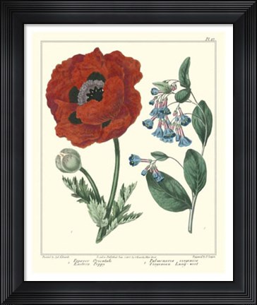 Framed Gardener's Delight I Print