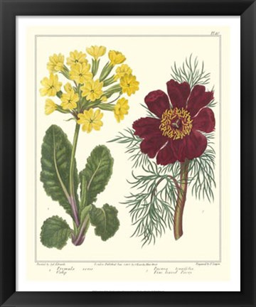 Framed Gardener&#39;s Delight II Print