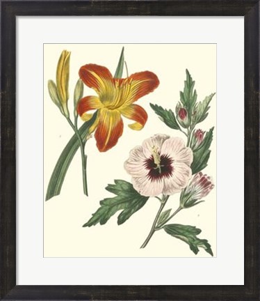 Framed Gardener&#39;s Delight IV Print