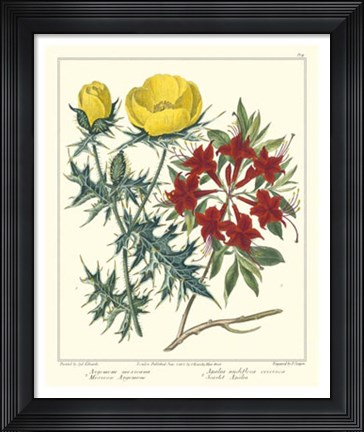 Framed Gardener's Delight VII Print