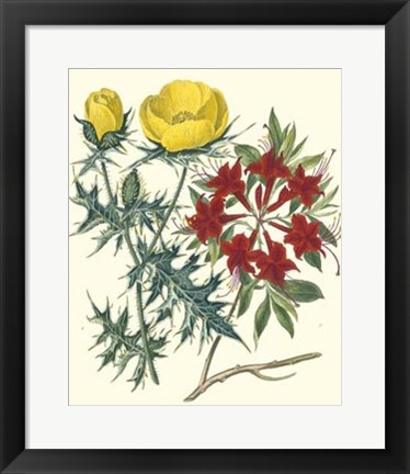 Framed Gardener&#39;s Delight VII Print