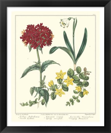 Framed Gardener&#39;s Delight VIII Print