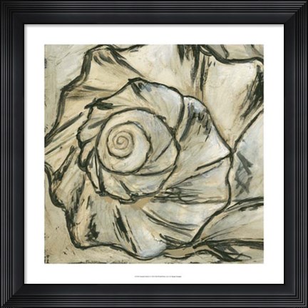 Framed Seashell Spiral I Print