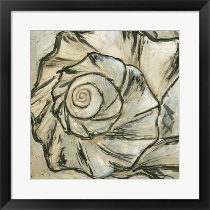 Framed Seashell Spiral I Print