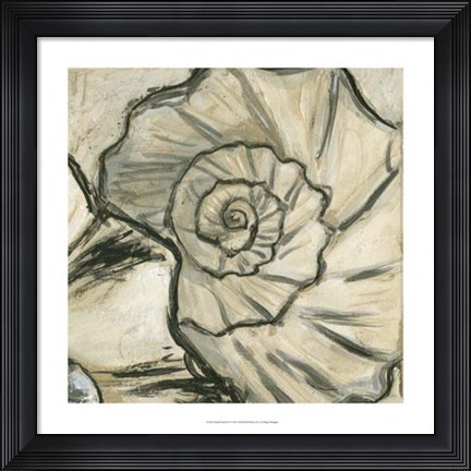 Framed Seashell Spiral II Print